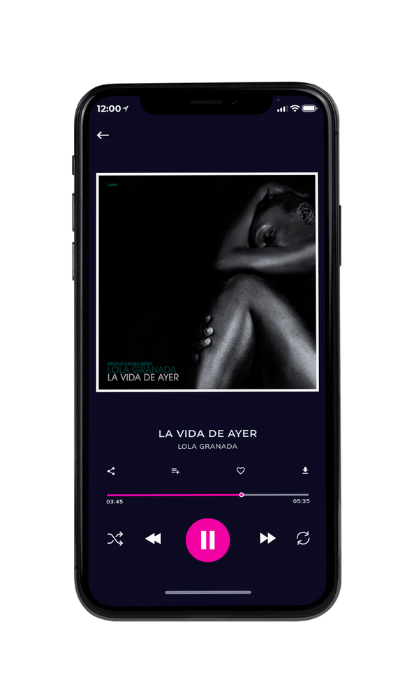 Tablet view of Premade Pop Album Cover - Cod Gray #1806 | AlbumArtZone*
