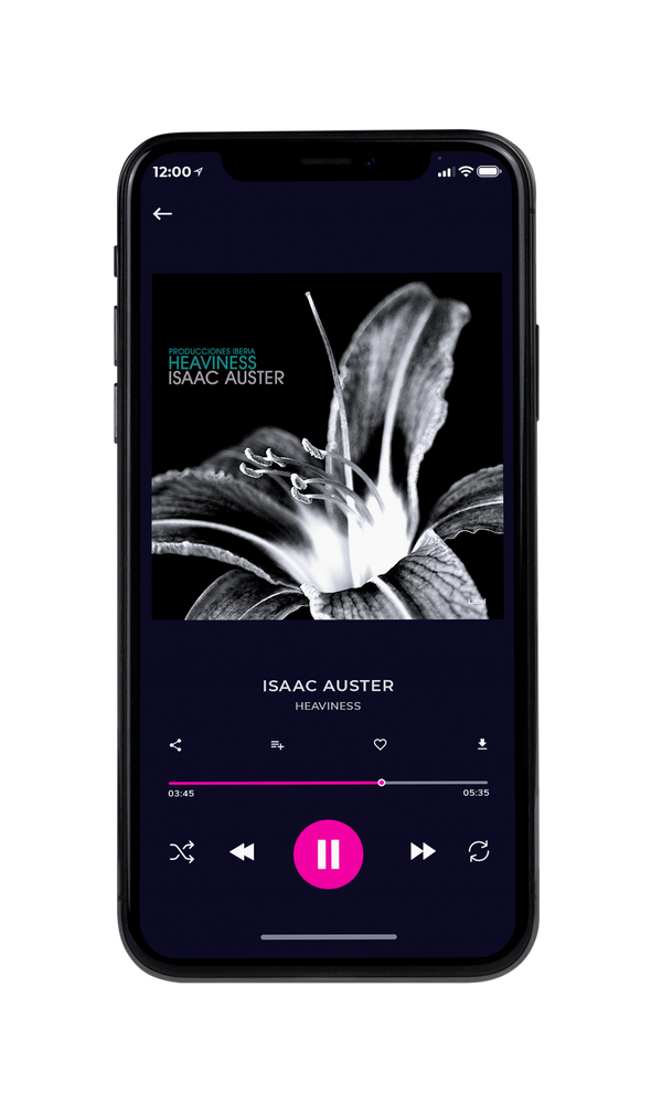 Tablet view of Premade Electronica & Ambient Album Cover - Silver #1812 | AlbumArtZone*