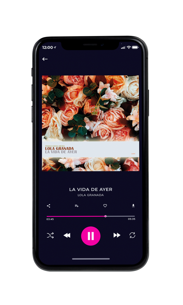 Tablet view of Premade Pop Album Cover - Oil #1819 | AlbumArtZone*