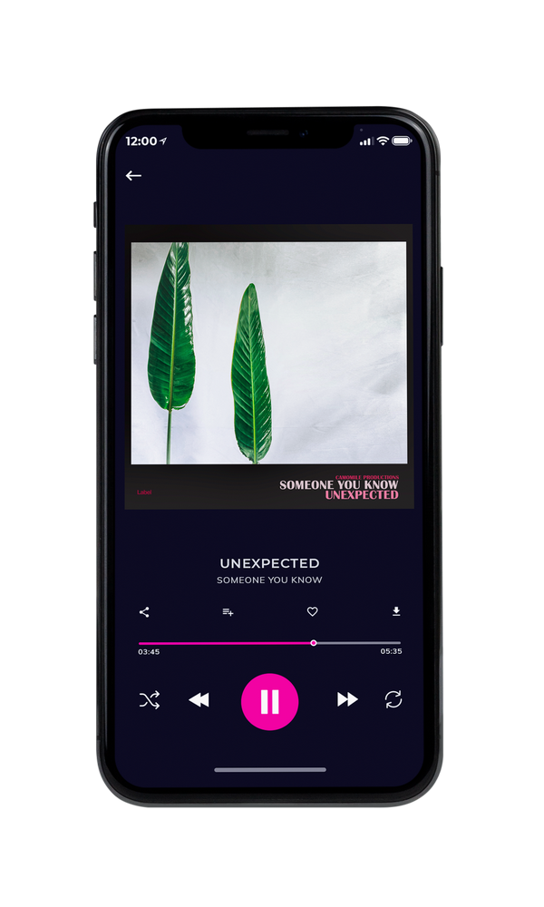 Tablet view of Premade Pop Album Cover - Quill Gray #1825 | AlbumArtZone*