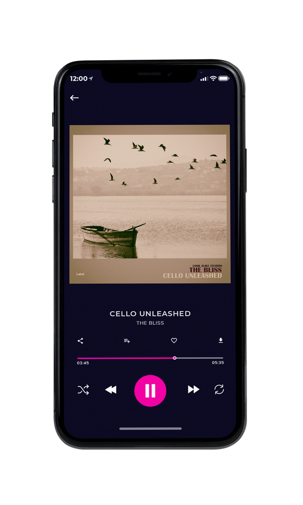 Tablet view of Premade Pop Album Cover - Indian Khaki #1831 | AlbumArtZone*
