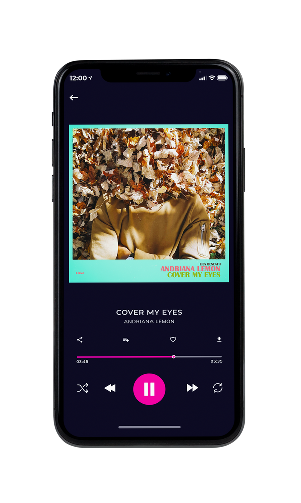 Tablet view of Premade Pop Album Cover - Surf Crest #1832 | AlbumArtZone*