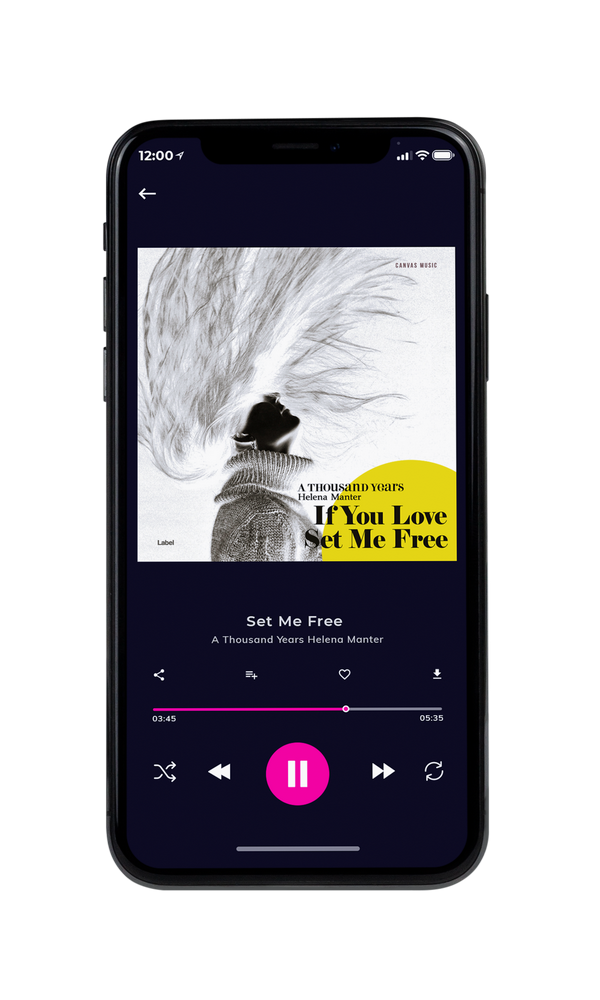 Tablet view of Premade Pop Album Cover - Quill Gray #1895 | AlbumArtZone*