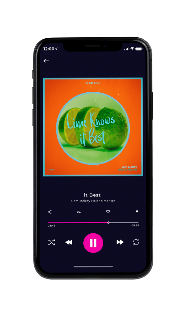 Tablet view of Premade Contemporary Music Album Cover - Hot Cinnamon #1901 | AlbumArtZone*