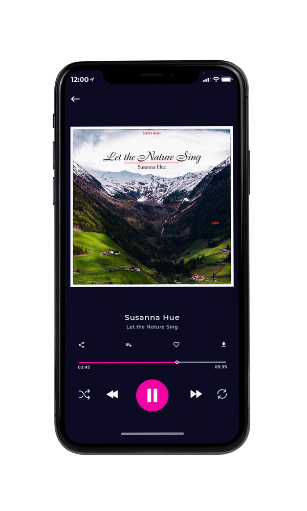 Tablet view of Premade Pop Album Cover - Alto #1910 | AlbumArtZone*