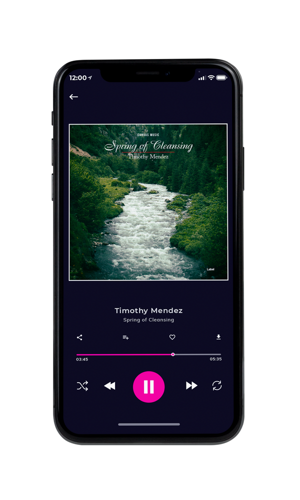 Tablet view of Premade Pop Album Cover - Celtic #1913 | AlbumArtZone*