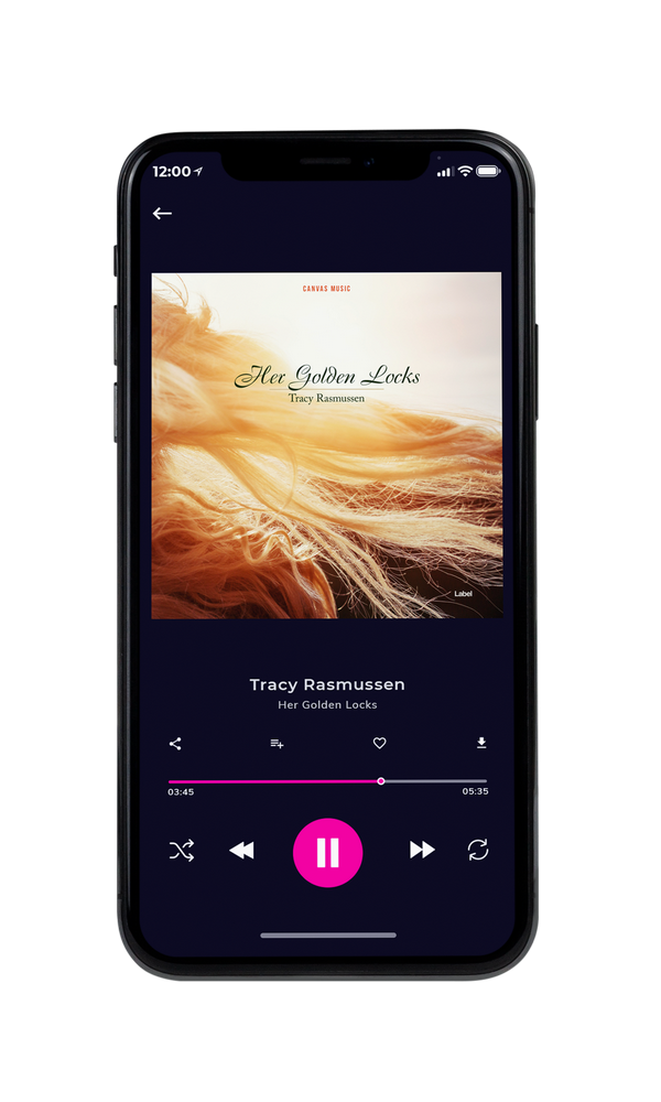 Tablet view of Premade Pop Album Cover - Calico #1918 | AlbumArtZone*