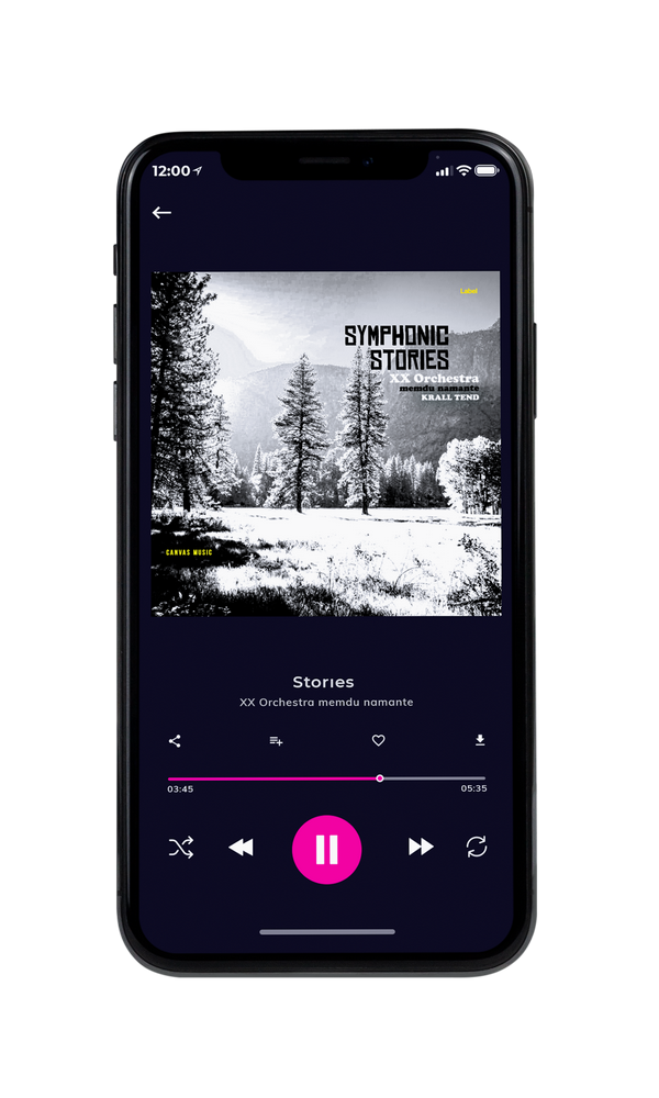 Tablet view of Premade Indie & Folk Music Album Cover - Silver #2030 | AlbumArtZone*