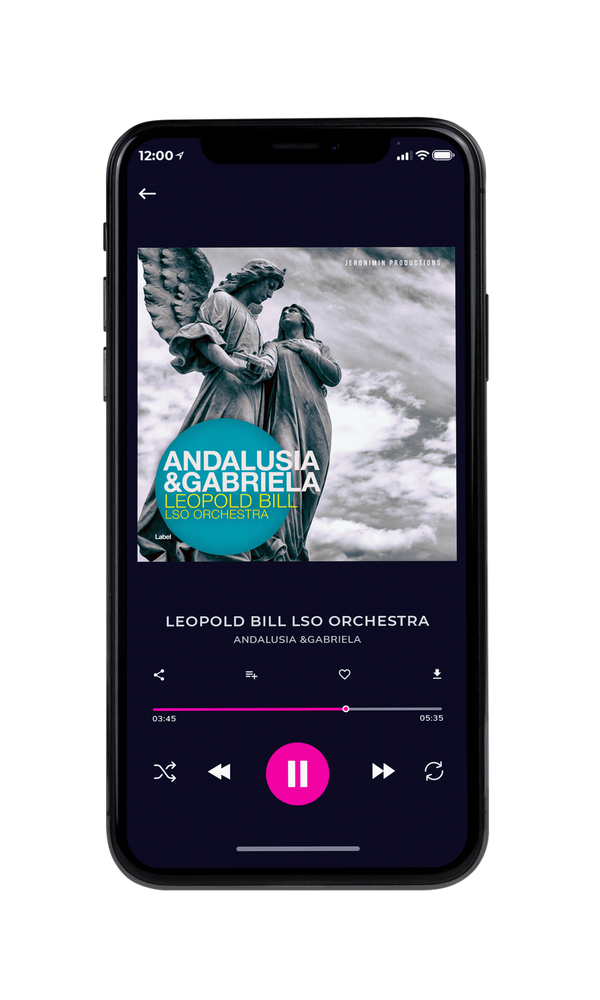 Tablet view of Premade Early Music Album Cover - Silver #2037 | AlbumArtZone*