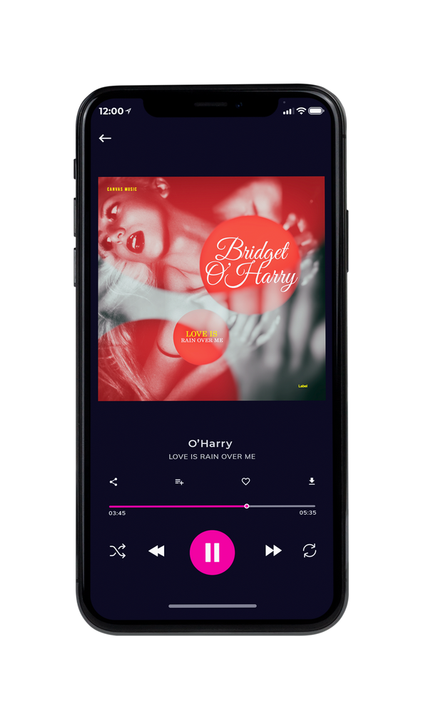 Tablet view of Premade Pop Album Cover - Chestnut #2046 | AlbumArtZone*