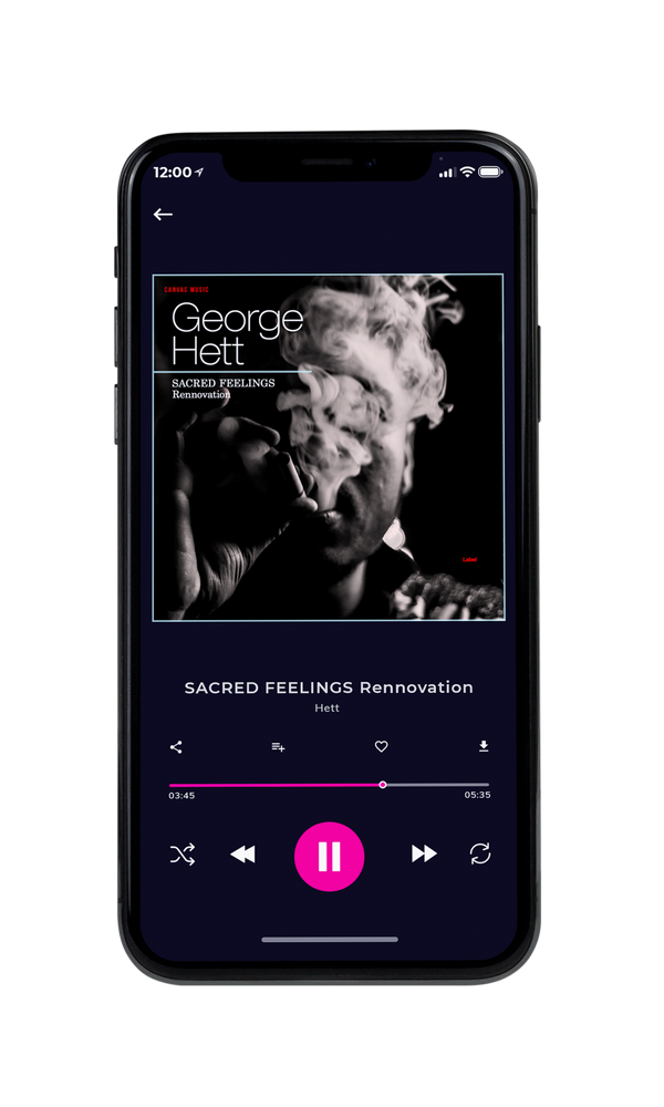 Tablet view of Premade Pop Album Cover - Cod Gray #2050 | AlbumArtZone*