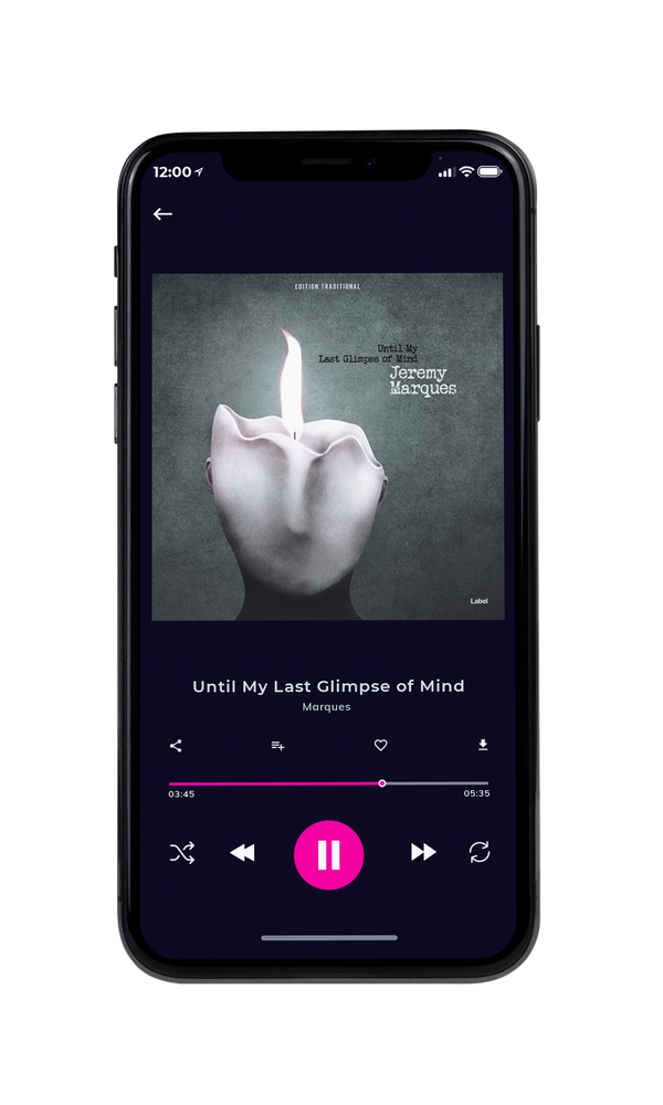 Tablet view of Premade Pop Album Cover - Nandor #2065 | AlbumArtZone*