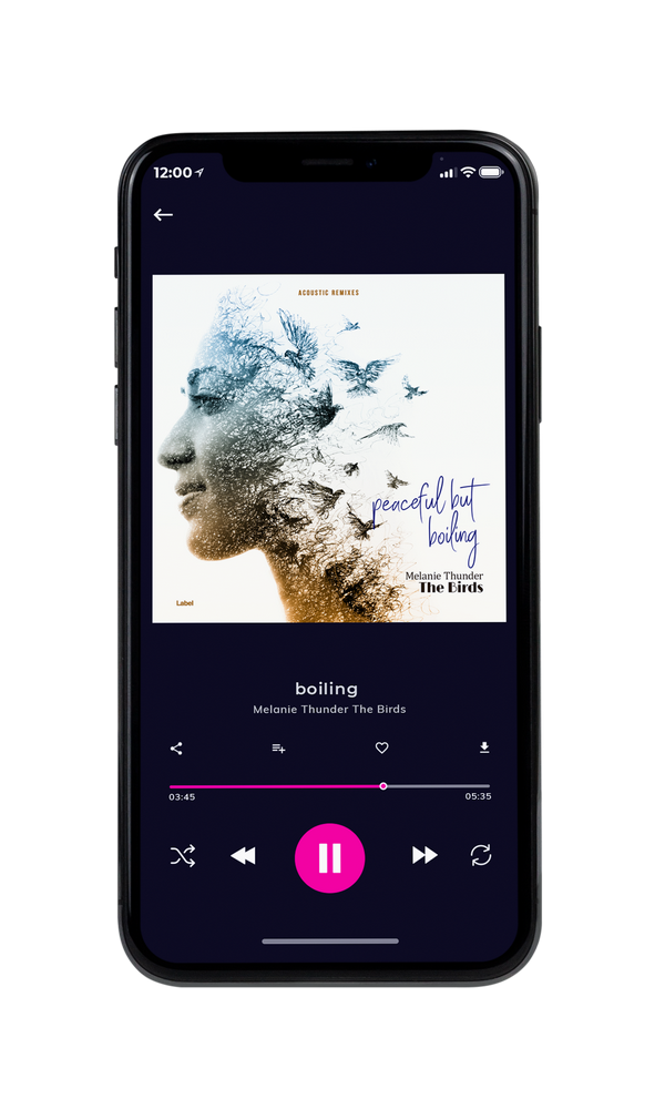 Tablet view of Premade Pop Album Cover - Armadillo #2086 | AlbumArtZone*