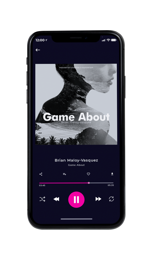Tablet view of Premade Pop Album Cover - Gray Nickel #2209 | AlbumArtZone*