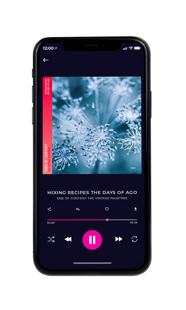 Tablet view of Premade Christmas Music Album Cover - Nepal #2234 | AlbumArtZone*