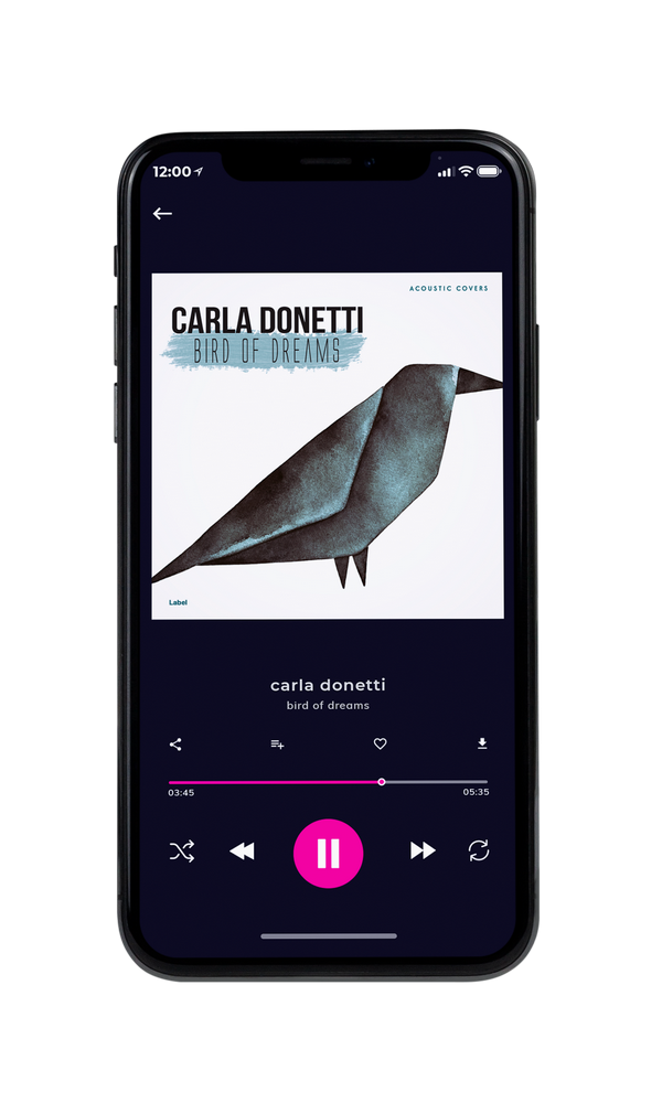 Tablet view of Premade Pop Album Cover - Cocoa Brown #2248 | AlbumArtZone*