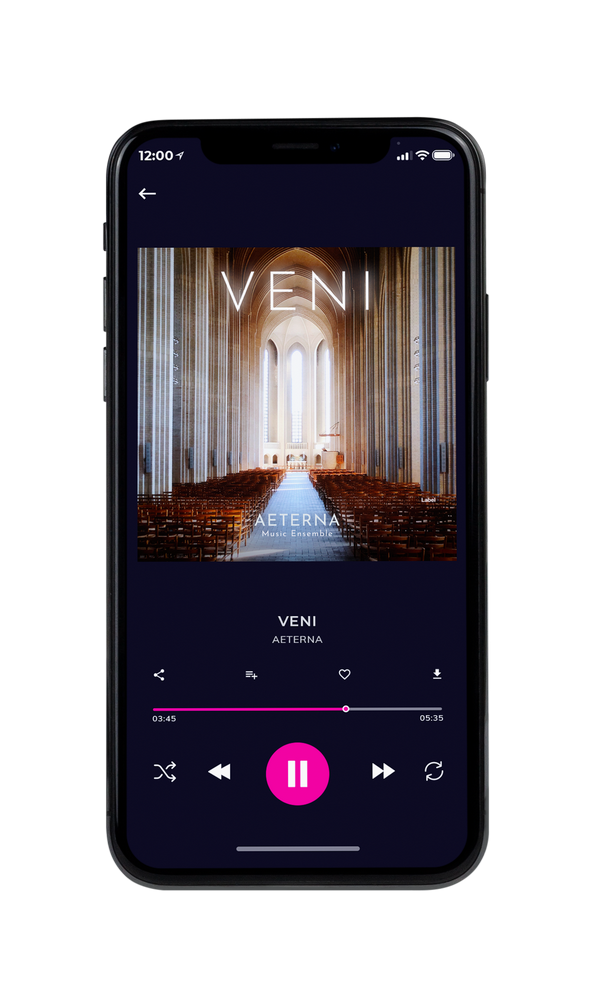Tablet view of Premade Early Music Album Cover - Pine Cone #2329 | AlbumArtZone*