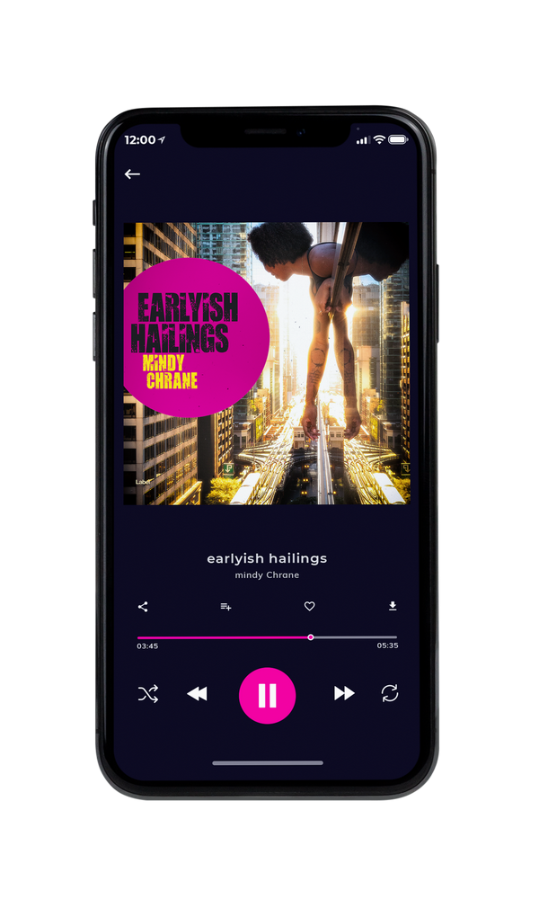 Tablet view of Premade Pop Album Cover - Vin Rouge #2362 | AlbumArtZone*