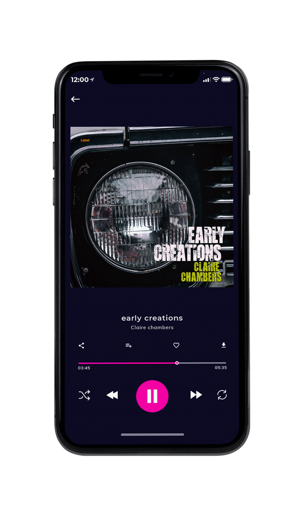 Tablet view of Premade Pop Album Cover - Ash #2366 | AlbumArtZone*
