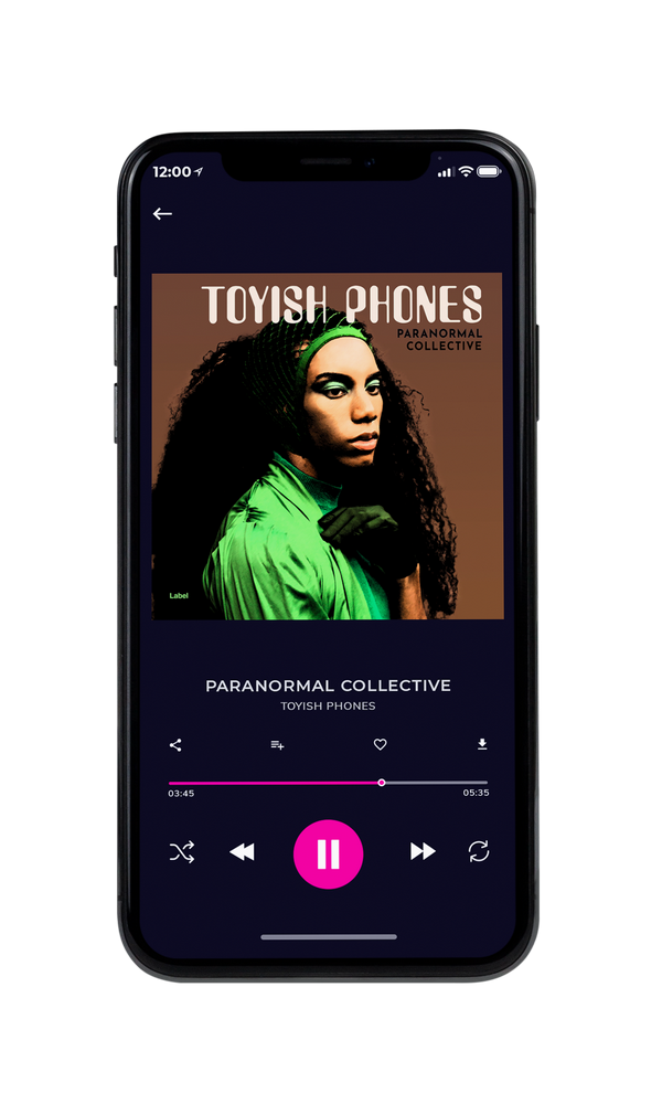 Tablet view of Premade Rock,Punk & Alternative Album Cover - Oil #2391 | AlbumArtZone*
