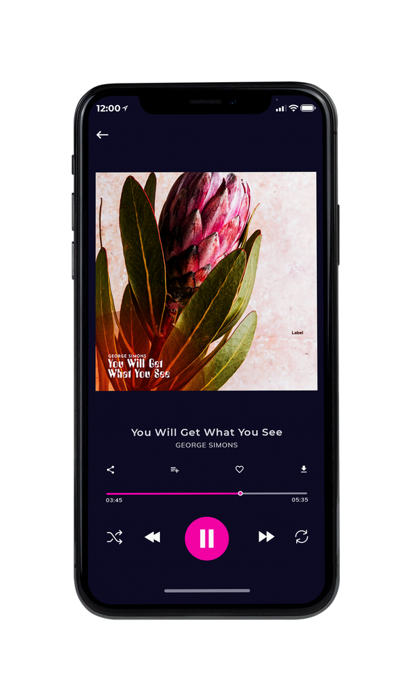 Tablet view of Premade Pop Album Cover - Stark White #2421 | AlbumArtZone*
