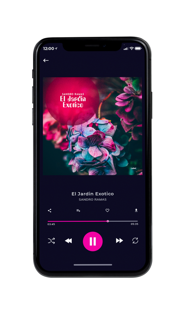 Tablet view of Premade Pop Album Cover - Cranberry #2422 | AlbumArtZone*