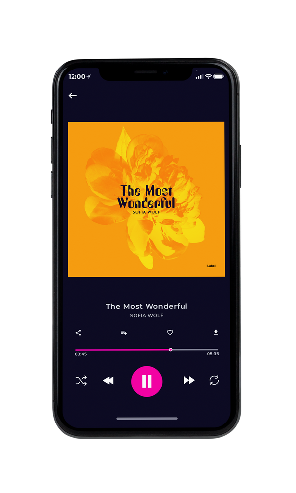 Tablet view of Premade Pop Album Cover - Sun #2424 | AlbumArtZone*