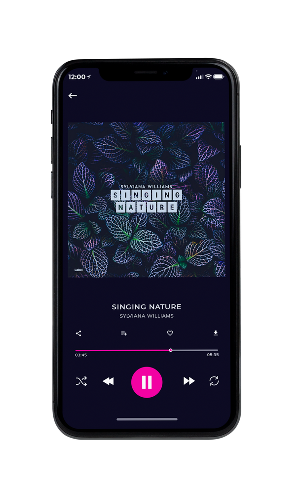 Tablet view of Premade Pop Album Cover - Mirage #2427 | AlbumArtZone*