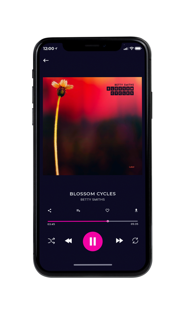 Tablet view of Premade Rock,Punk & Alternative Album Cover - Tamarind #2430 | AlbumArtZone*