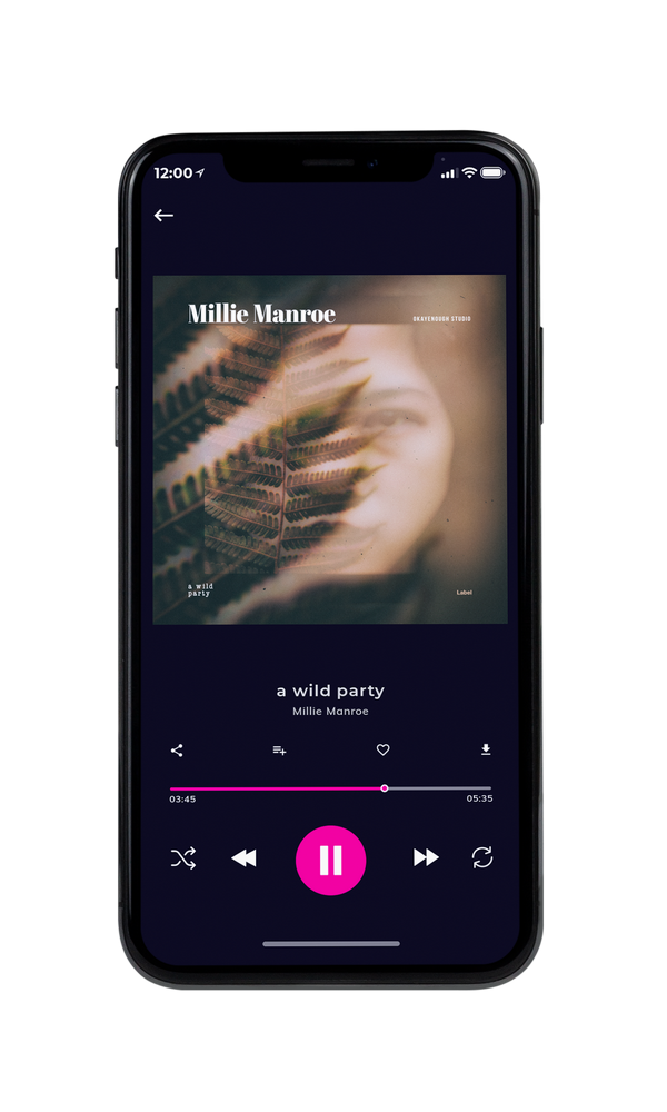 Tablet view of Premade Rock,Punk & Alternative Album Cover - Armadillo #2502 | AlbumArtZone*