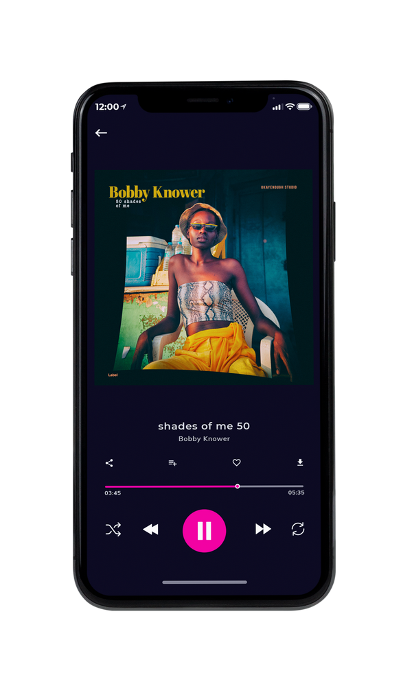 Tablet view of Premade Pop Album Cover - Firefly #2503 | AlbumArtZone*