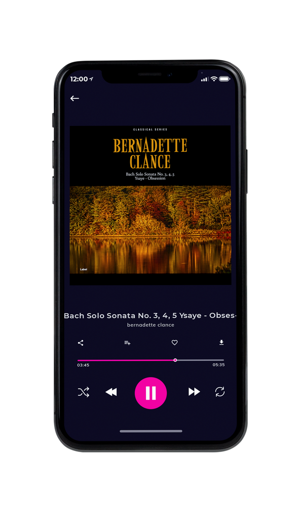 Tablet view of Premade Contemporary Music Album Cover - Graphite #2578 | AlbumArtZone*