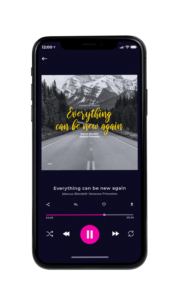 Tablet view of Premade Pop Album Cover - Gray #2610 | AlbumArtZone*