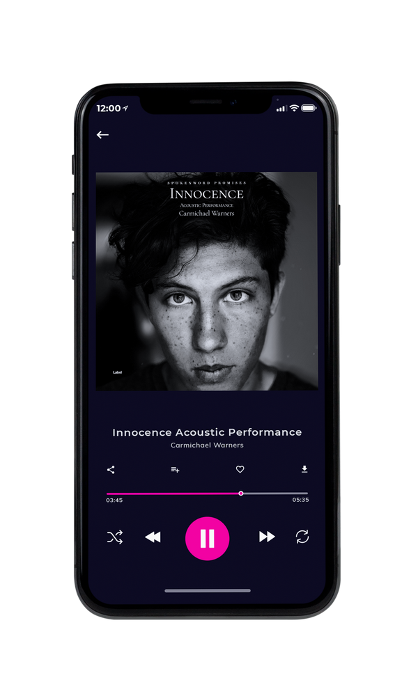 Tablet view of Premade Pop Album Cover - Cod Gray #2696 | AlbumArtZone*