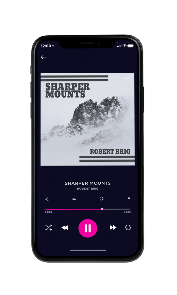 Tablet view of Premade Rock,Punk & Alternative Album Cover - Alto #2738 | AlbumArtZone*