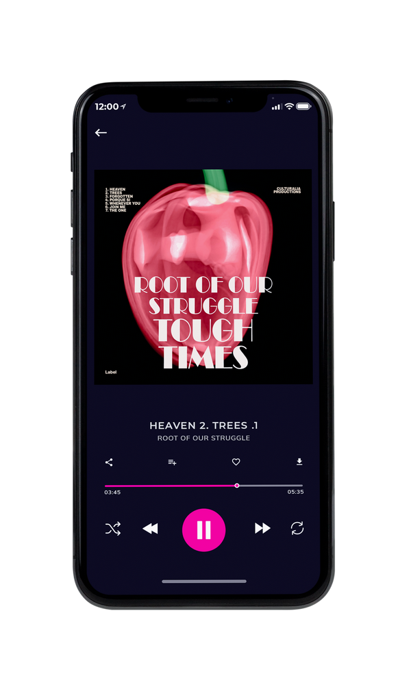 Tablet view of Premade EDM, House & Dub Album Cover - Chestnut Rose #2783 | AlbumArtZone*