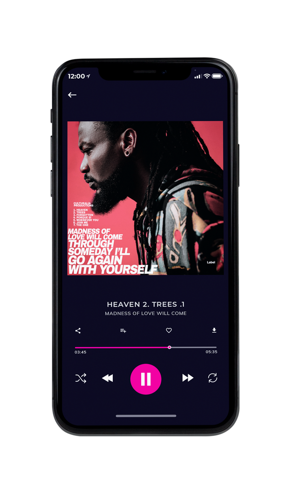 Tablet view of Premade Pop Album Cover - Cod Gray #2787 | AlbumArtZone*