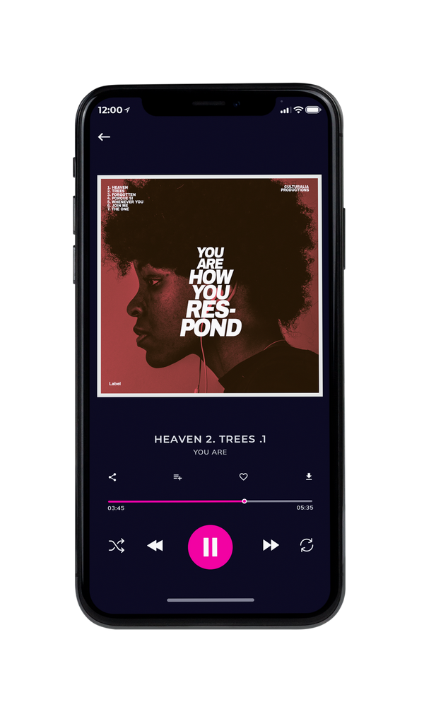 Tablet view of Premade Pop Album Cover - El Paso #2788 | AlbumArtZone*