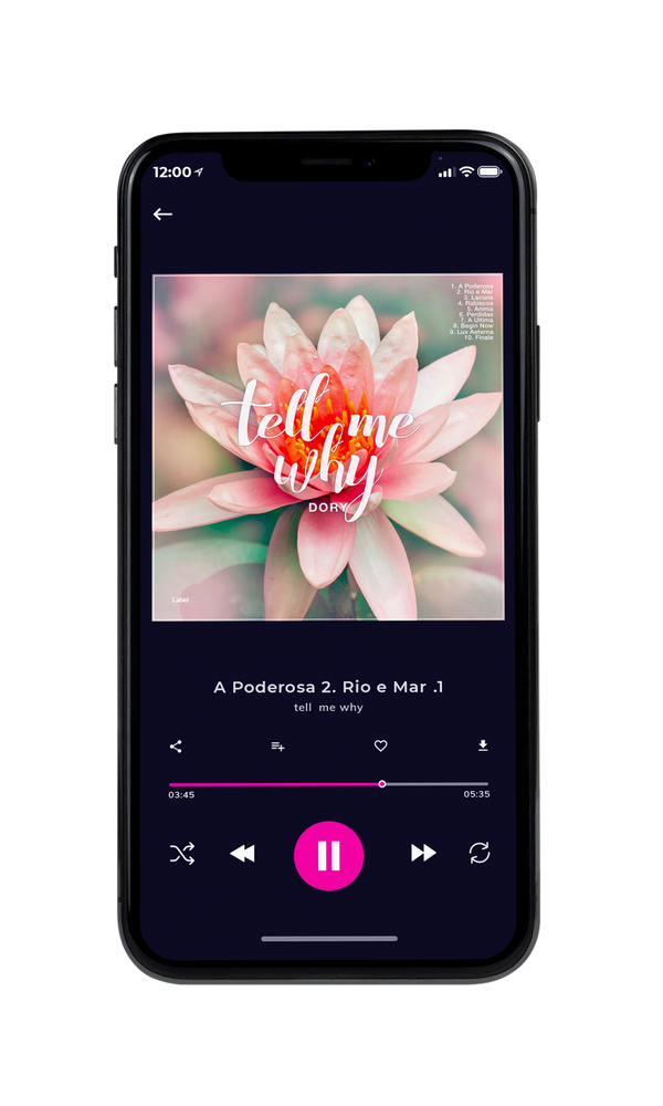 Tablet view of Premade Pop Album Cover - Rodeo Dust #2948 | AlbumArtZone*
