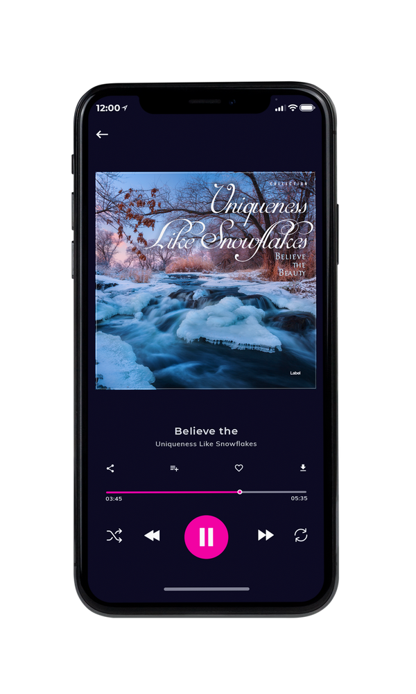 Tablet view of Premade Christmas Music Album Cover - Lynch #2981 | AlbumArtZone*
