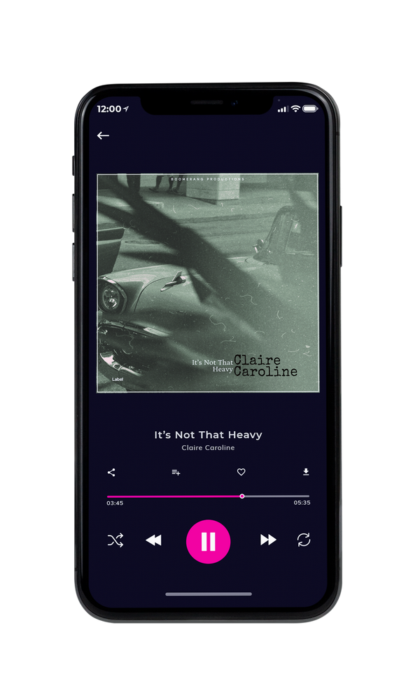 Tablet view of Premade Pop Album Cover - Willow Grove #3039 | AlbumArtZone*