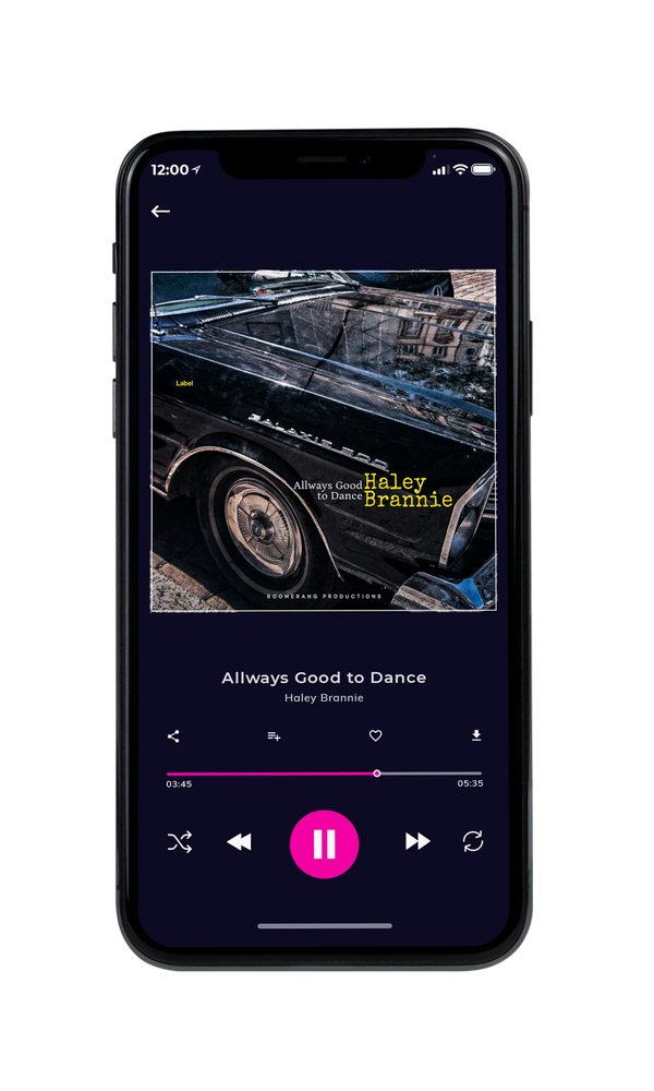 Tablet view of Premade Pop Album Cover - Woodsmoke #3047 | AlbumArtZone*