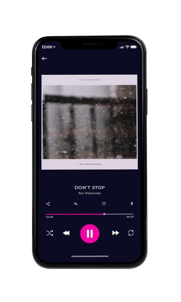 Tablet view of Premade Pop Album Cover - Masala #3073 | AlbumArtZone*