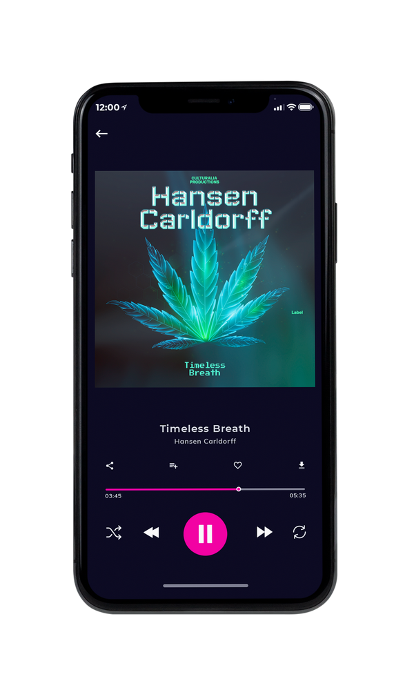 Tablet view of Premade Electronica & Ambient Album Cover - Limed Spruce #3187 | AlbumArtZone*