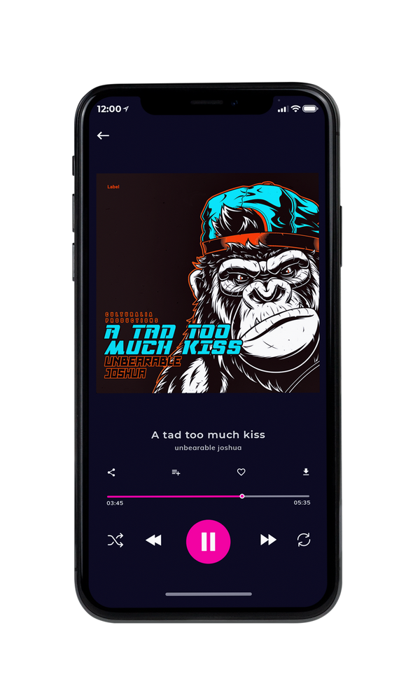 Tablet view of Premade Rock,Punk & Alternative Album Cover - Gondola #3225 | AlbumArtZone*