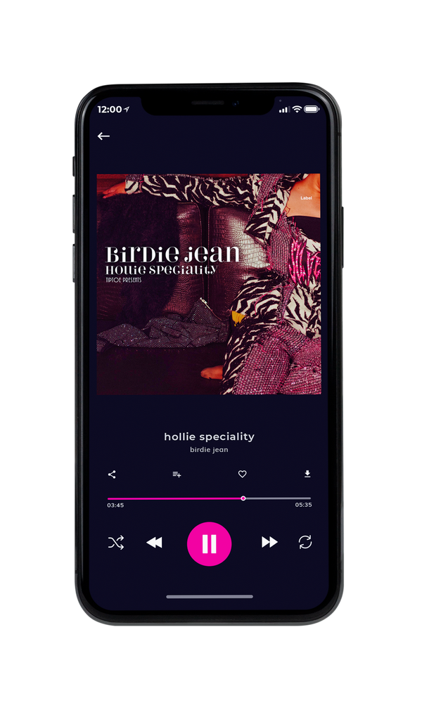 Tablet view of Premade Pop Album Cover - Tamarind #3259 | AlbumArtZone*