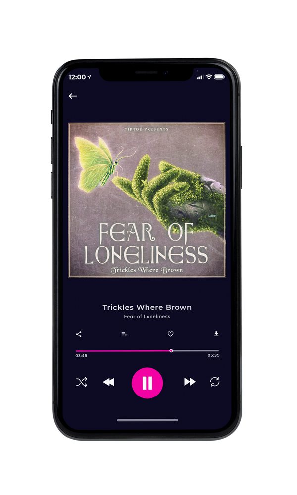 Tablet view of Premade Indie & Folk Music Album Cover - Stonewall #3276 | AlbumArtZone*