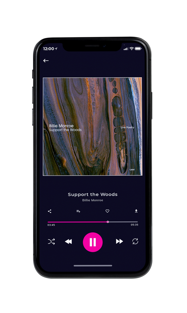 Tablet view of Premade Contemporary Music Album Cover - Masala #3325 | AlbumArtZone*
