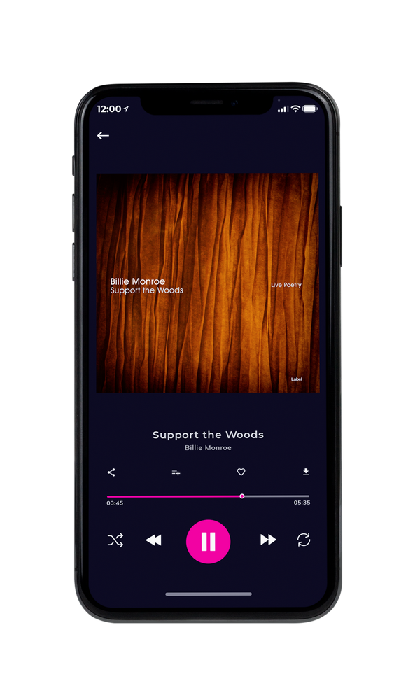 Tablet view of Premade Contemporary Music Album Cover - Kenyan Copper #3326 | AlbumArtZone*