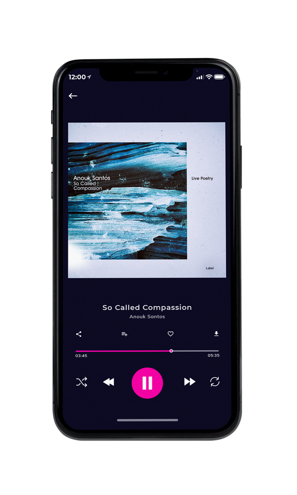 Tablet view of Premade Contemporary Music Album Cover - Pickled Bluewood #3330 | AlbumArtZone*